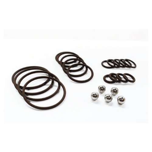 Dodson Gr6 Main Valve Body Repair Kit (O-Rings & Balls) | DMS-7159