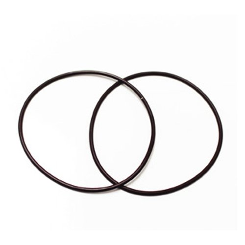Dodson Evox Dct470 Piston Shaft Seal (Pair) | DMS-1918