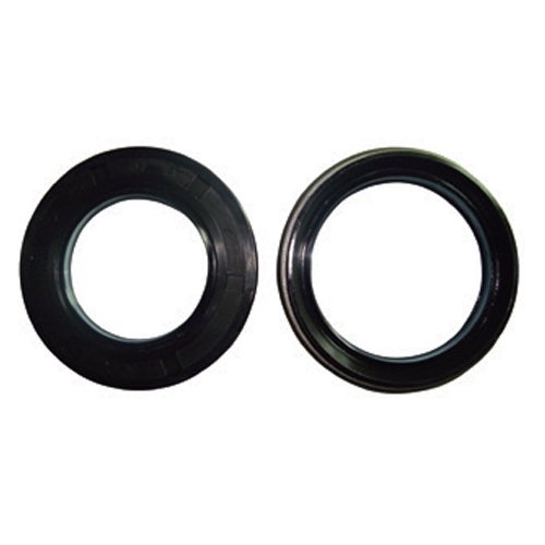 Dodson Gr6 Input Shaft Seals (Pair) | DMS-7924