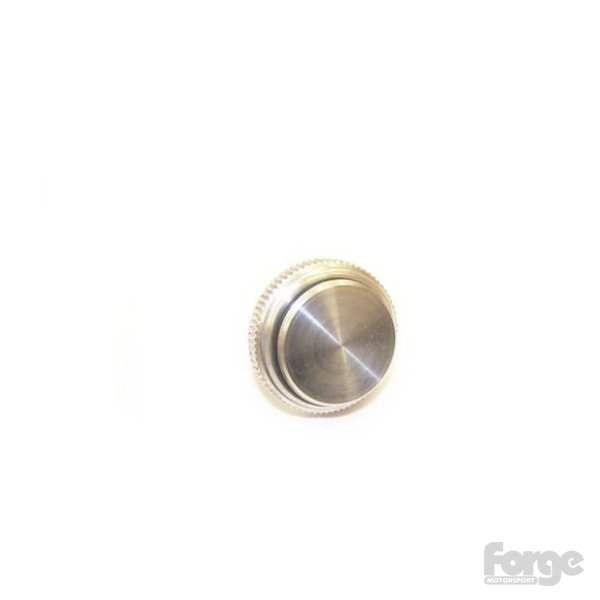 Blanking Cap For FMDVSPLTR and FMBSPLTR | Forge
